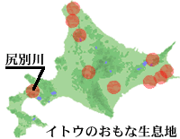 イトウの主な生息地