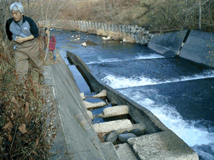 閉塞した魚道の例