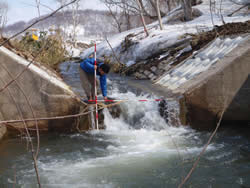 融雪期を迎えた5号落差工魚道